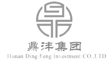 湖南鼎沣集团有限公司