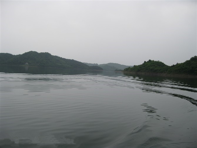 201906208.jpg